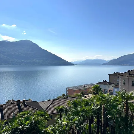 Cavallo By Fewotessin *