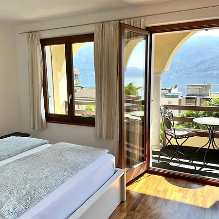 Cavallo By Fewotessin * Brissago