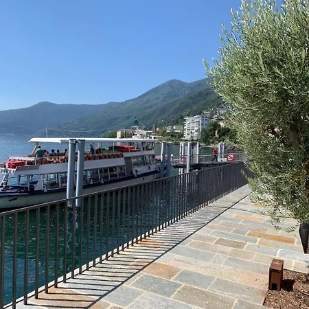 Cavallo By Fewotessin