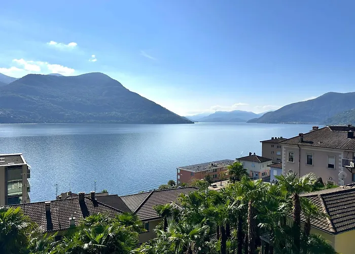 Cavallo By Fewotessin *