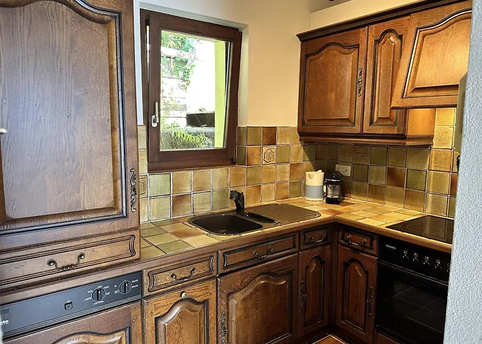 Cavallo By Fewotessin *