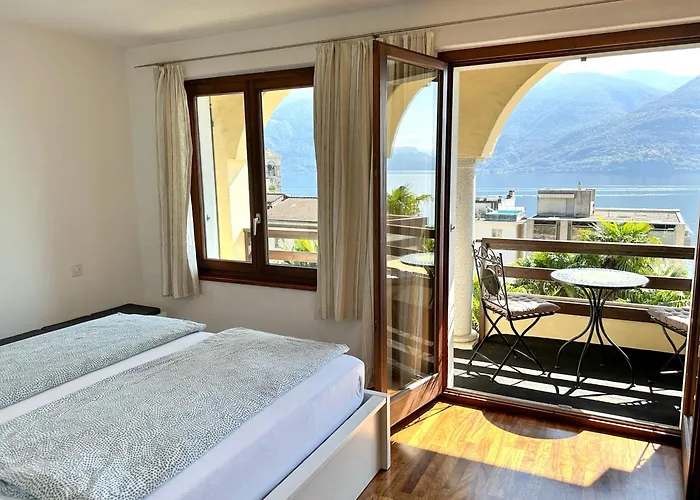 Cavallo By Fewotessin * Brissago