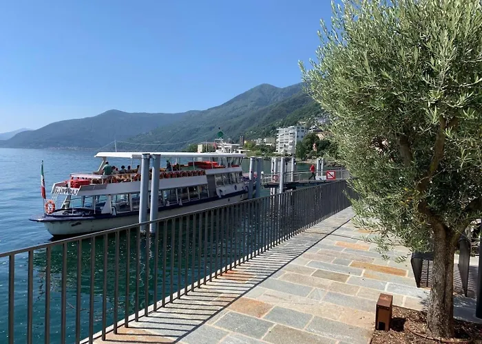 Cavallo By Fewotessin