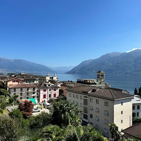 Cavallo By Fewotessin *