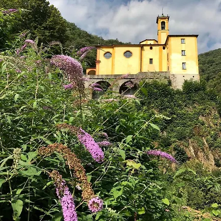 Cavallo By Fewotessin Appartamento *