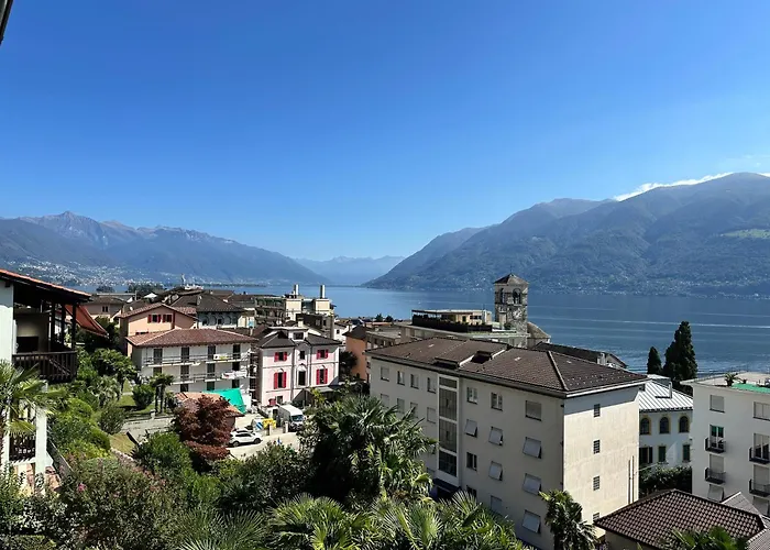 Cavallo By Fewotessin *